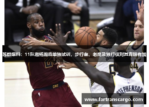 苏群爆料：11队邀杨瀚森单独试训，步行者、老鹰及独行侠对其青睐有加